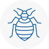 Bed Bug Extermination In Grimsby