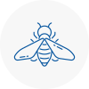 Bee Nest Removal Grimsby