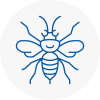 Grimsby Hornet Nest Removals