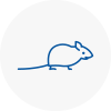 Mice Exterminators In Grimsby