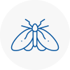 Moth Control Specialists In Grimsby