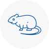 Rat Control Grimsby