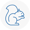 Grimsby Rodent Removals