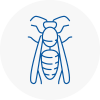 Grimsby Wasp Nest Removal
